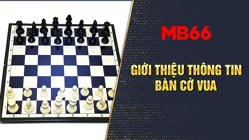 Tổng quan về bộ môn cờ vua