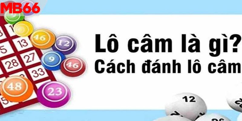 Hé lộ 4 bí quyết soi cầu đầu câm từ siêu cao thủ