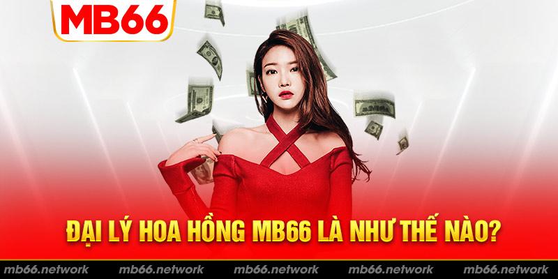 Thông tin tổng quan về đại lý hoa hồng MB66