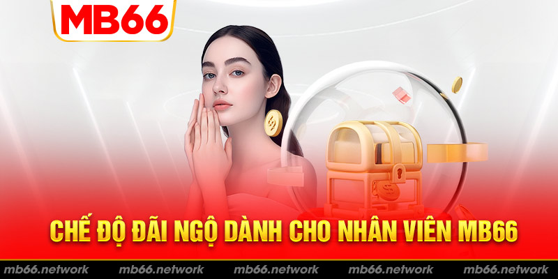 Chế độ đãi ngộ siêu khủng dành cho nhân viên