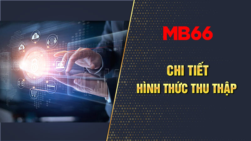 Chi tiết hình thức thu thập thông tin MB66