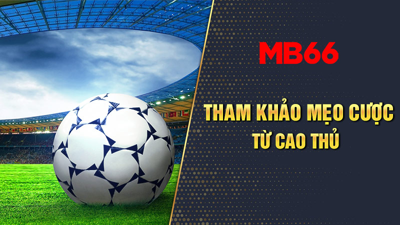 Tham khảo mẹo cược 1x2 từ cao thủ