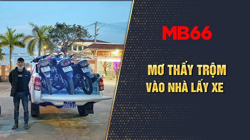 Chiêm bao trộm vào nhà lấy xe