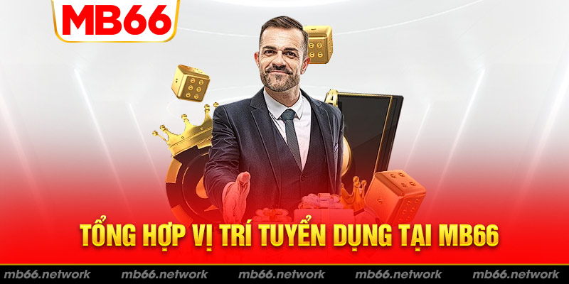 Tổng hợp các vị trí tuyển dụng tại MB66