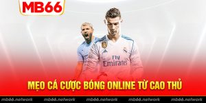 Mẹo cá cược bóng online bất bại