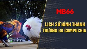 Giới thiệu lịch sử hình thành trường gà Campuchia