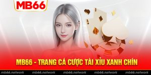 Tìm hiểu về trang cá cược tài xỉu uy tín