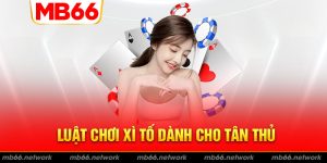 Bật mí luật chơi xì tố cho tân thủ