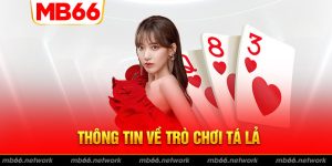 Tá lả và những thông tin bạn cần nắm